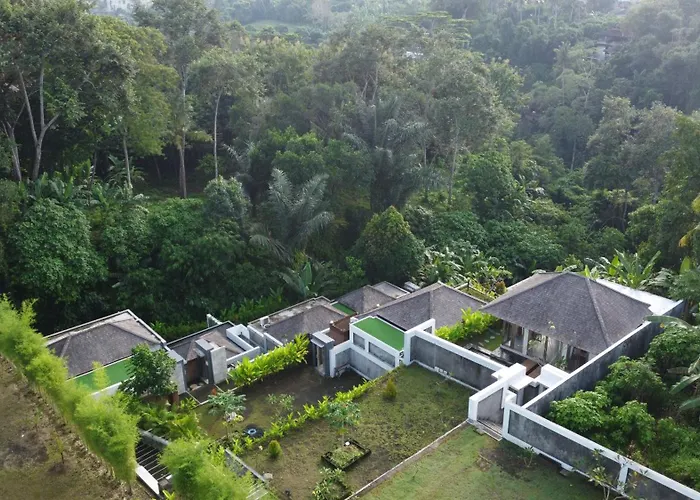Anggrek
