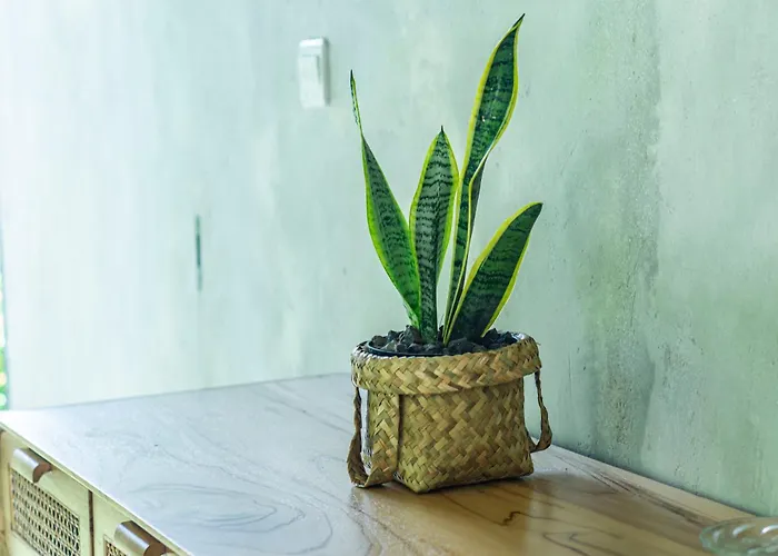 Anggrek Villa Ubud