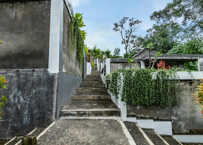 Anggrek